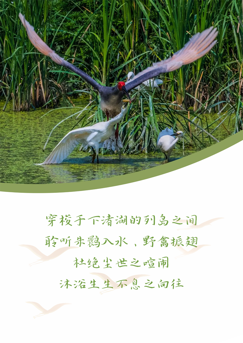 心心念廿 相伴40001百老汇 | 与德清相约 贺廿载诞辰